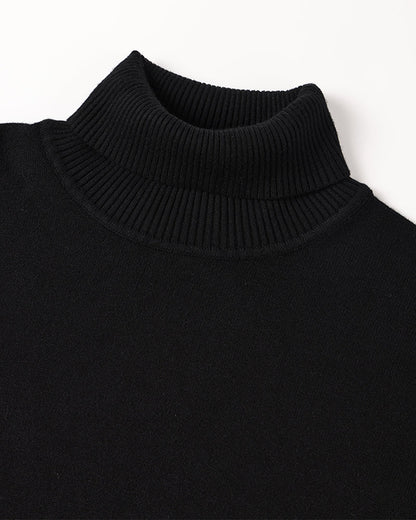 Pullover JANGSAN aus Merinowolle mit Rollkragen - Adelmar